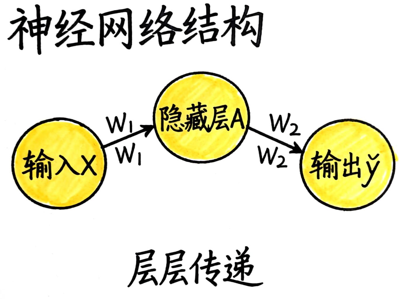 神经网络结构图