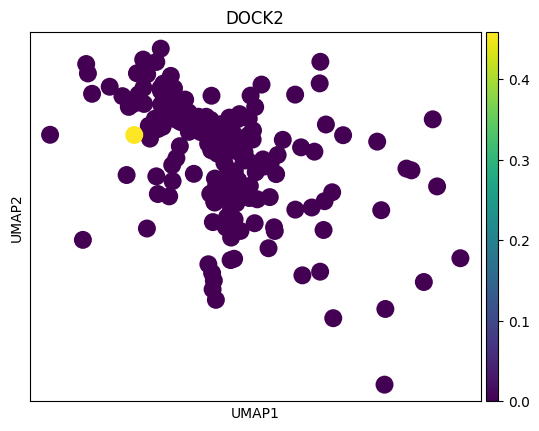 No description has been provided for this image