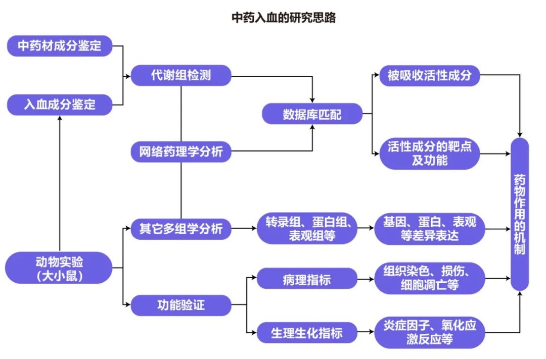 中药入血研究思路.jpg