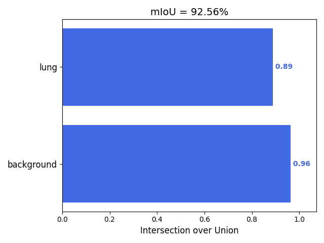 mIoU