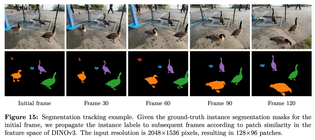 分割与跟踪示例