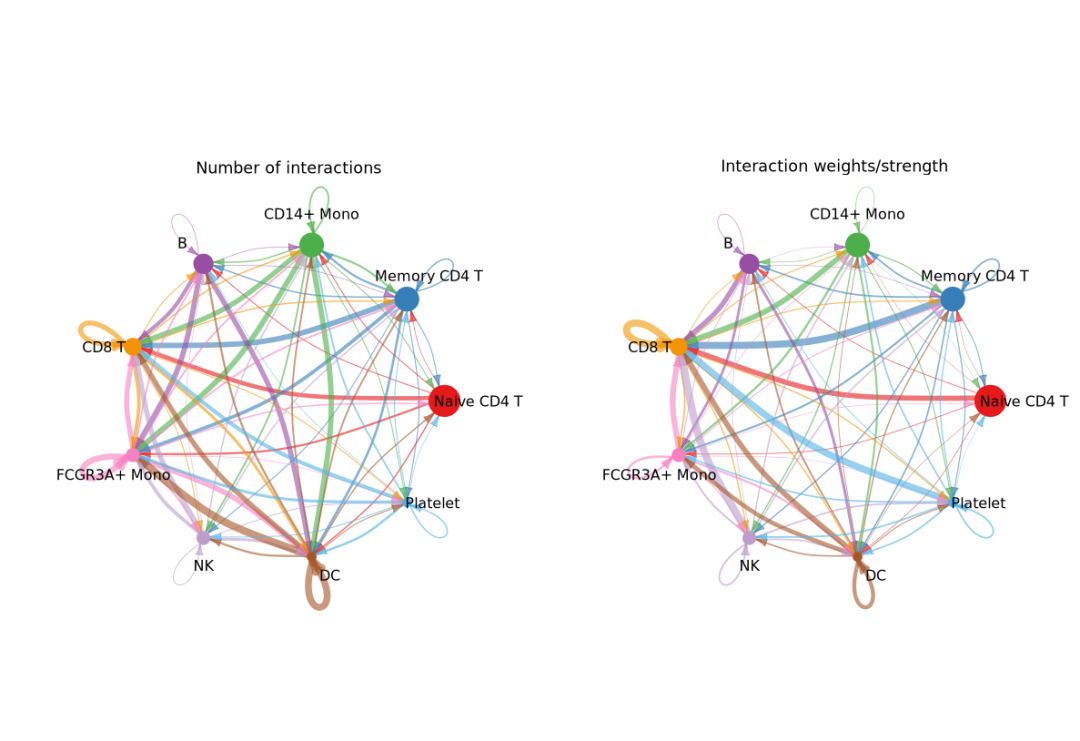 单细胞转录组：细胞互作分析_如何设计细胞互作方案-CSDN博客