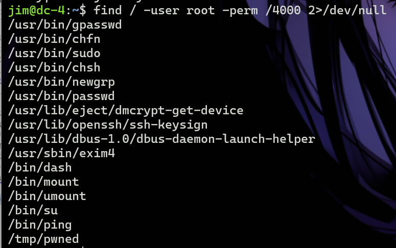 image-20250113202033902