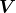 795ad0e098d4550a2b295db13e3a6423.png