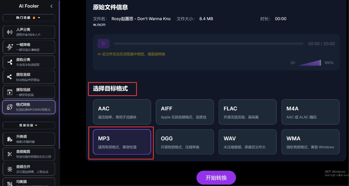 音频格式转换界面,展示输出格式与参数选项