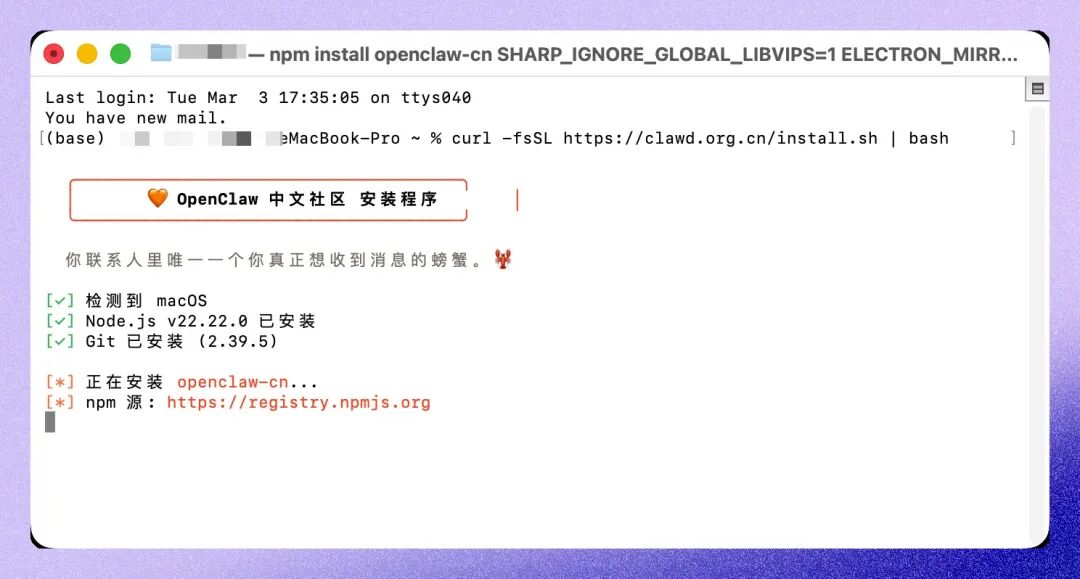 终端中执行官方安装脚本命令的截图