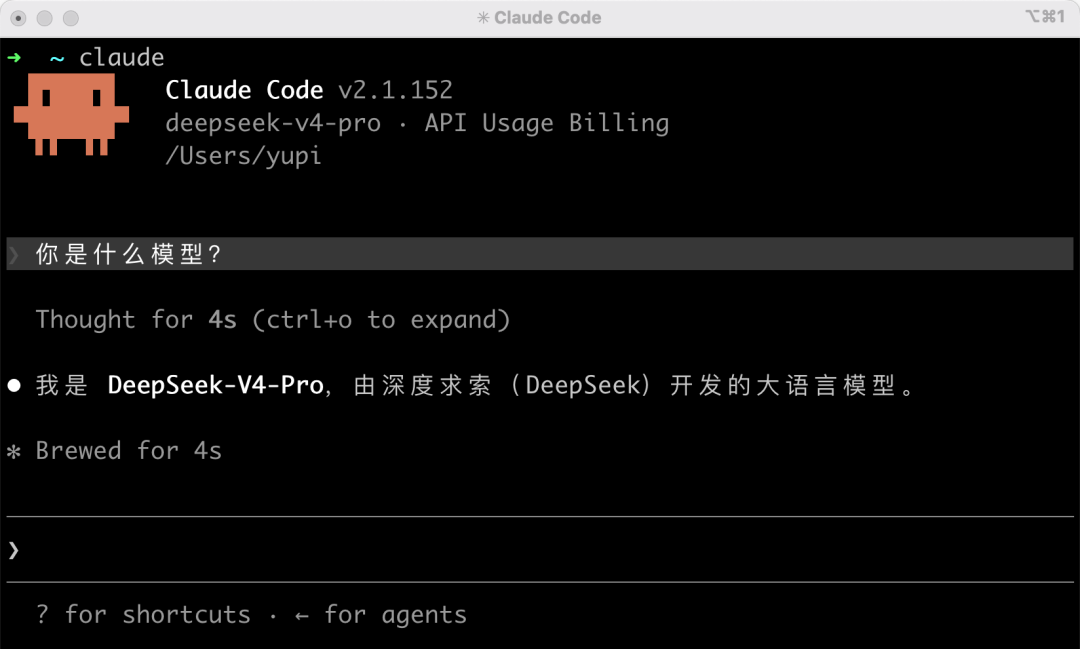 Claude Code 切换成功