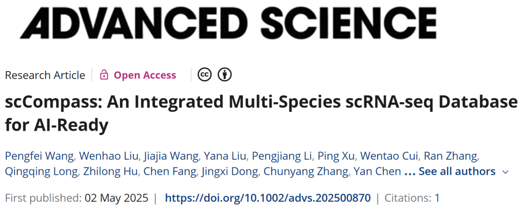 image-20250723134045501