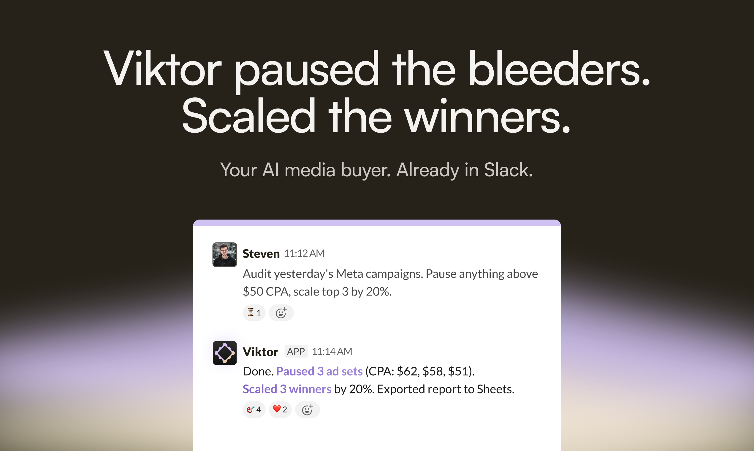 Viktor for Media Buyers