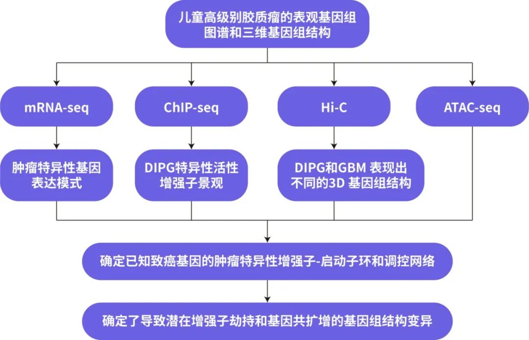 联合分析│表观多组学技术研究思路_wgbs和rnaseq联合分析动物模型-CSDN博客