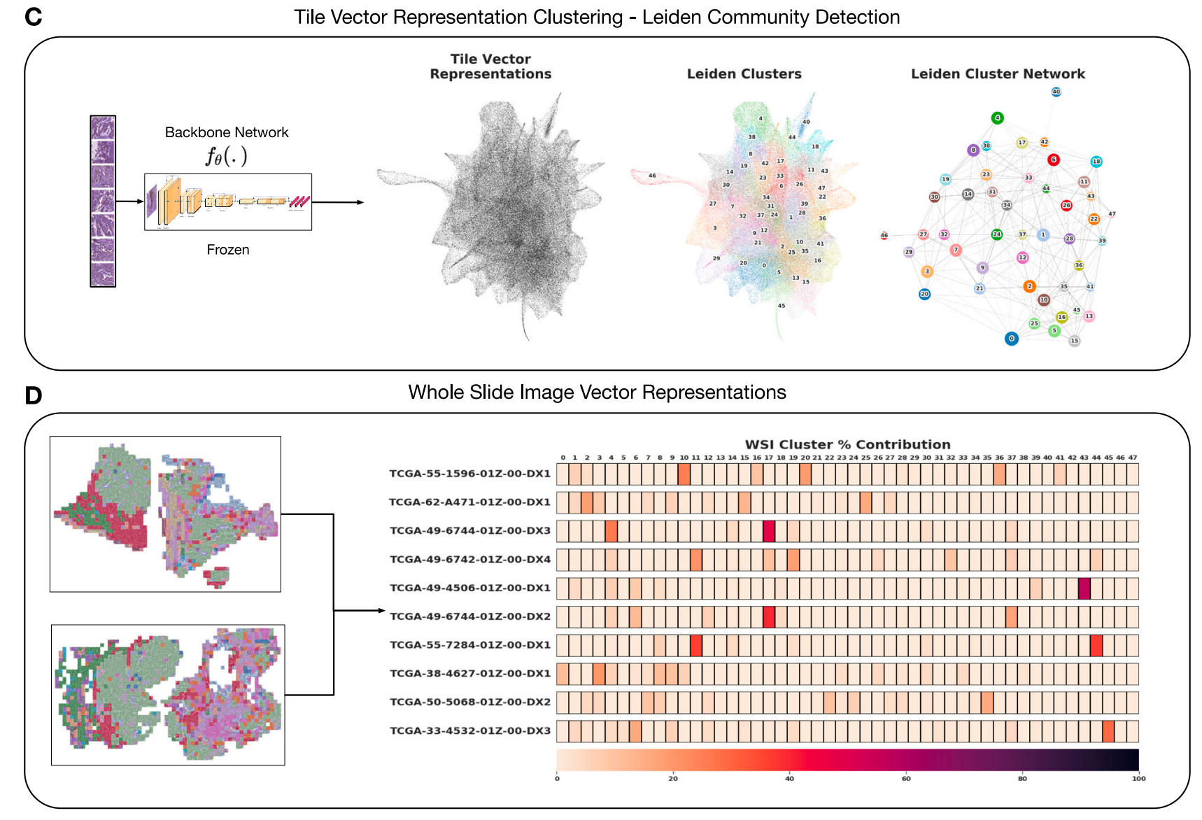 组织形态表型学习(HPL)框架架构概述