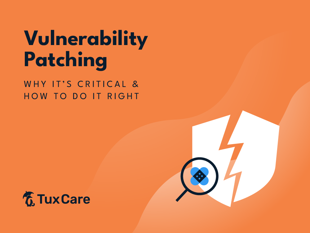 Vulnerability Patching: Why It's Critical & How to Do It Right