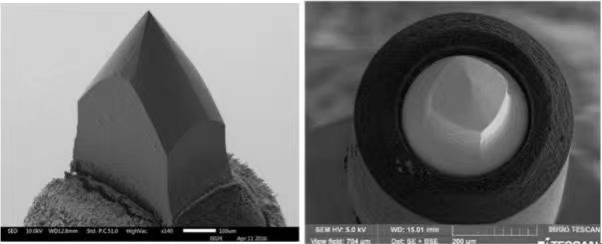 技术解读专栏|扫描电子显微镜（SEM）六硼化镧电子枪与场发射电子枪_lab6电子枪-CSDN博客