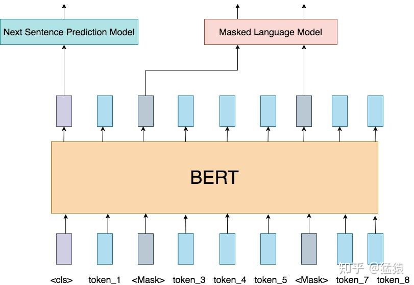 BERT 预训练结构示意
