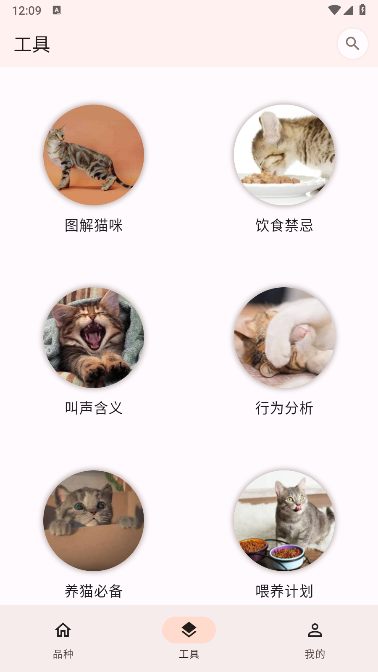 工具