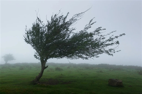 黄沙遮天蔽日!直击内蒙古河北等地风沙过境现场