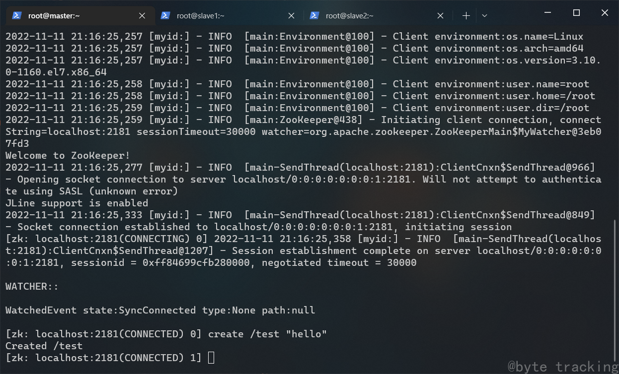 master zookeeper cli