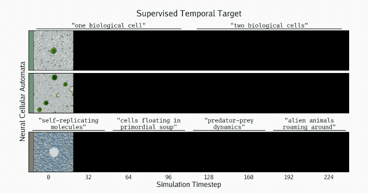 80751f99b381fc7b7a29705c82391e44.gif