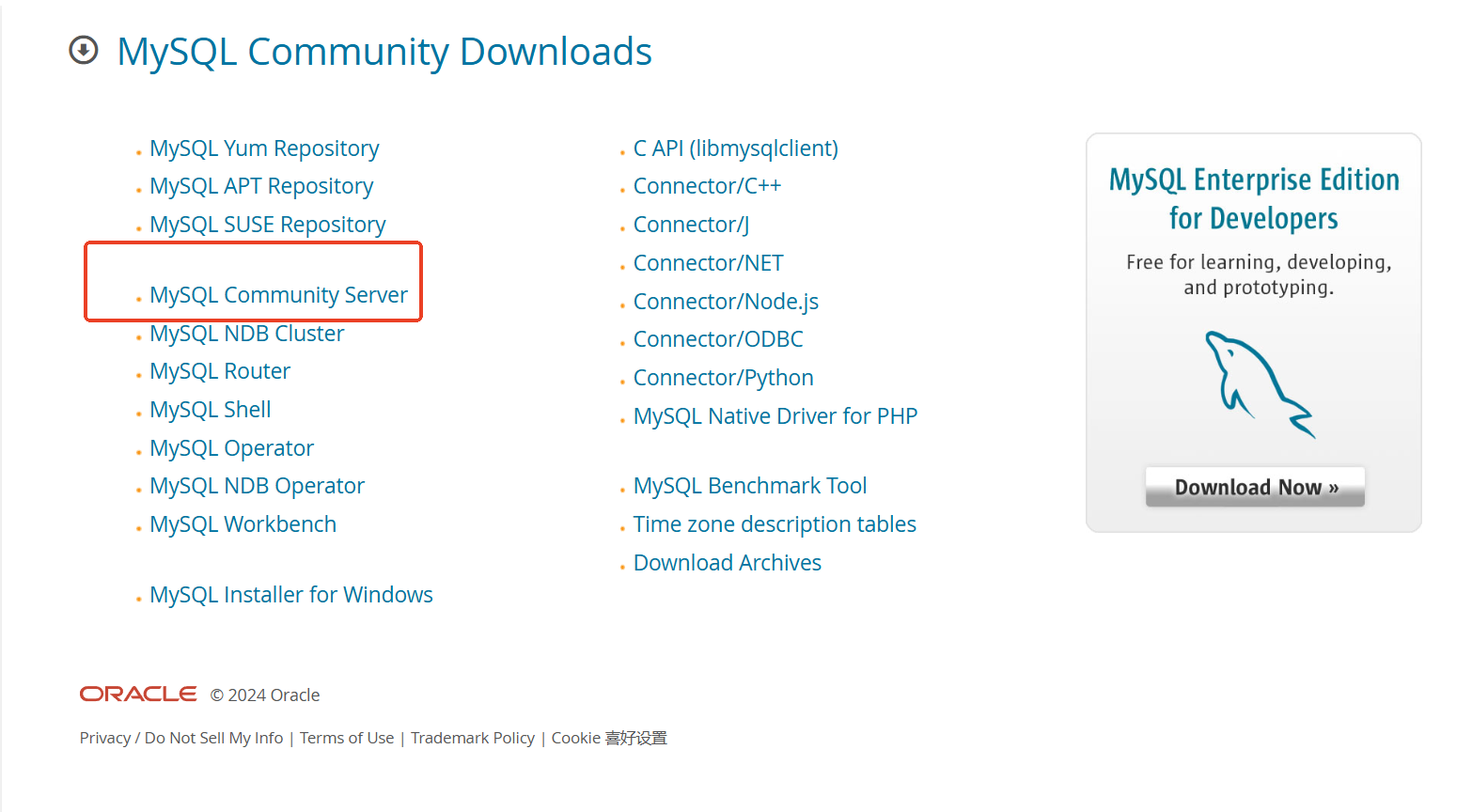 image-20241121090413912