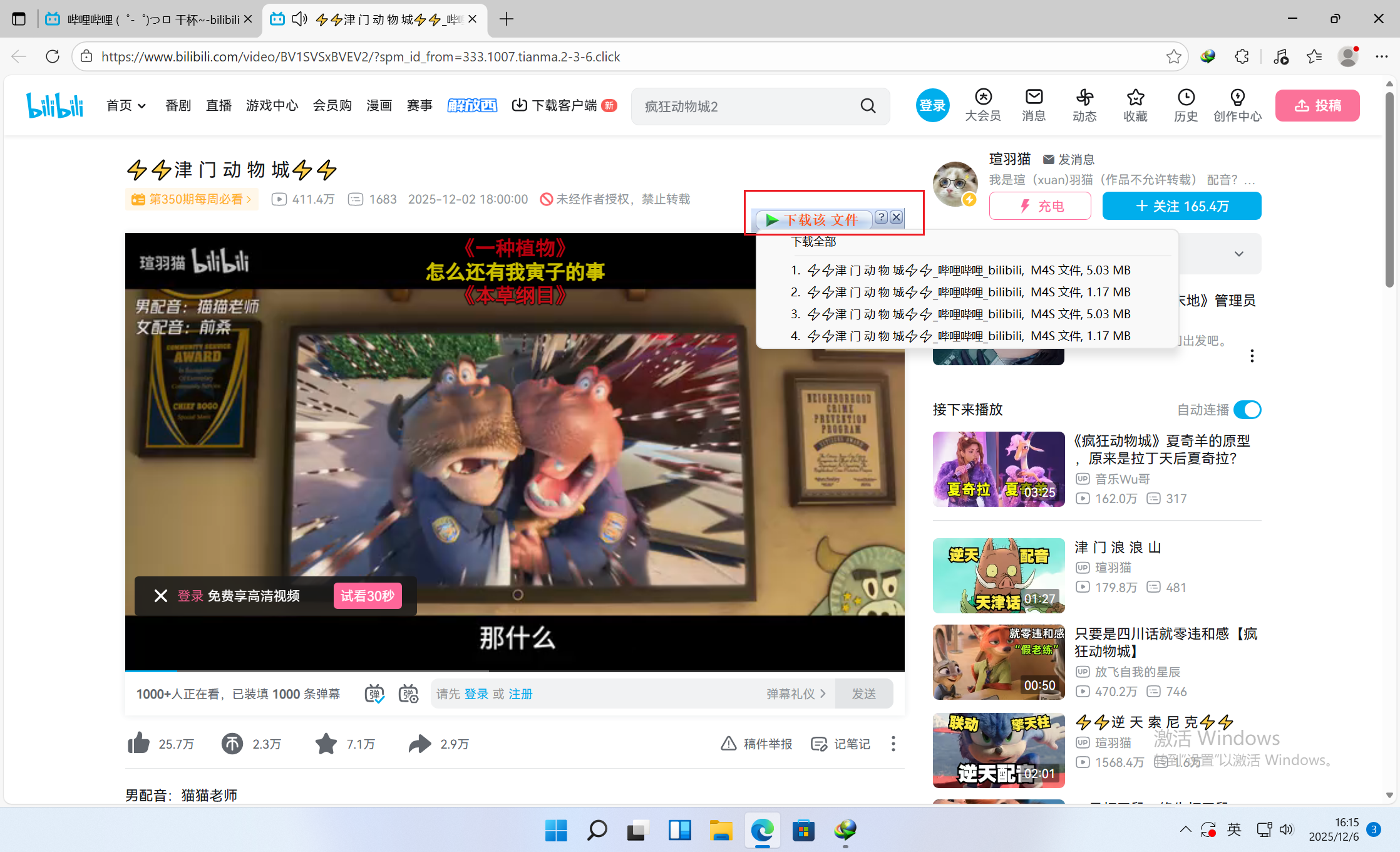 image-20251206161558966