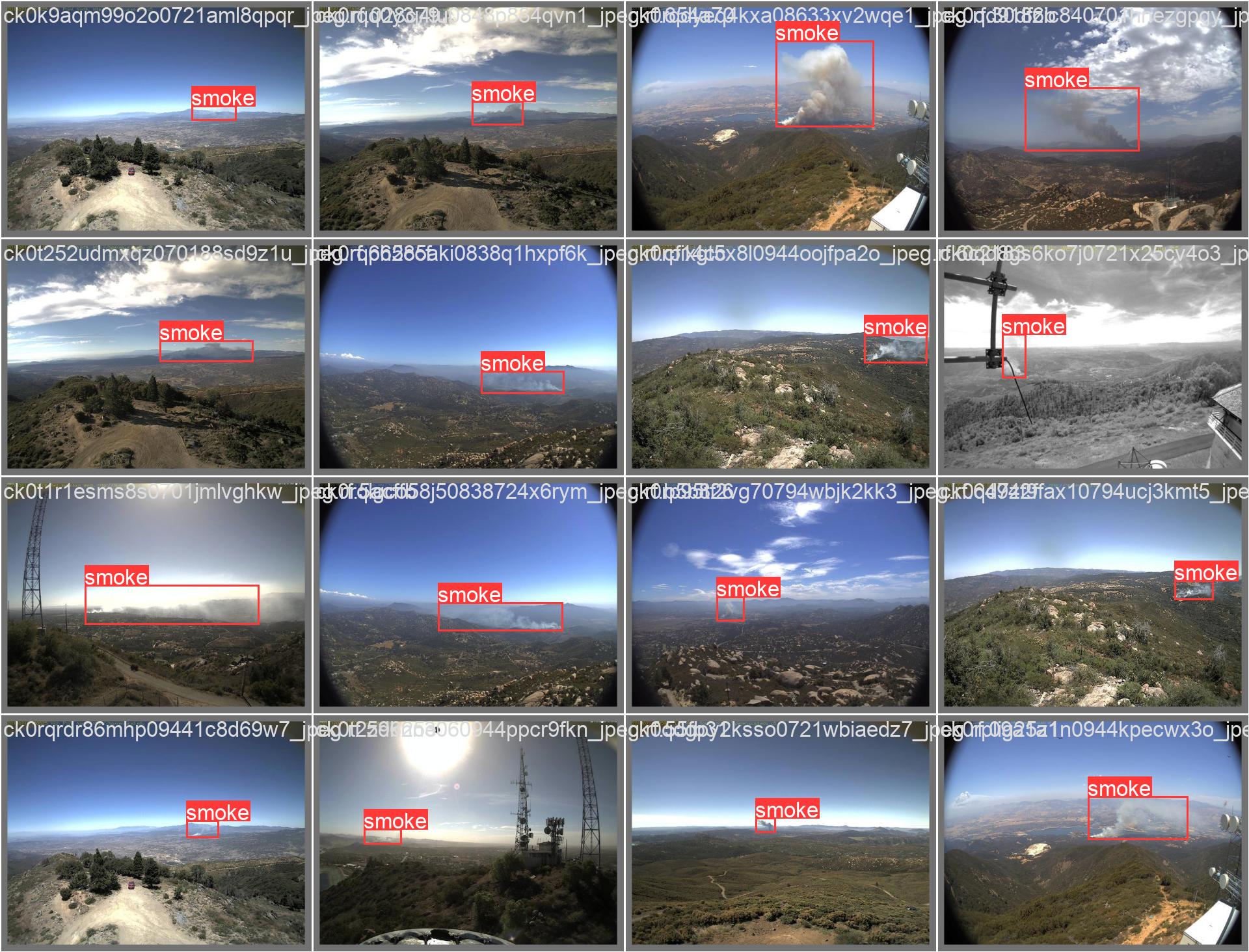 18_smoke_detect-val_batch0_labels.jpg