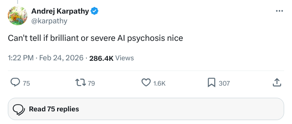 Karpathy 的评论