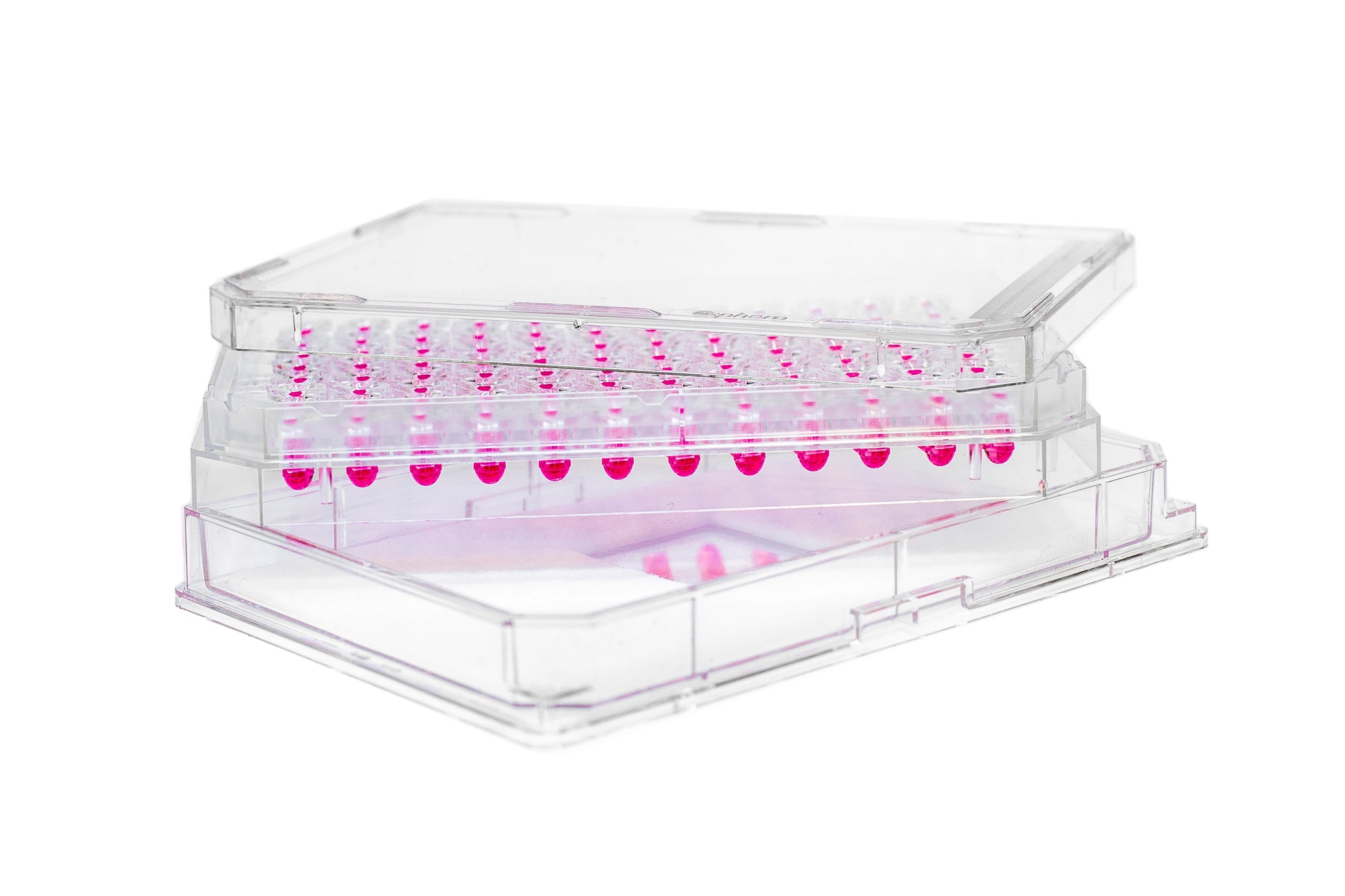 Akura 3D细胞悬滴培养板