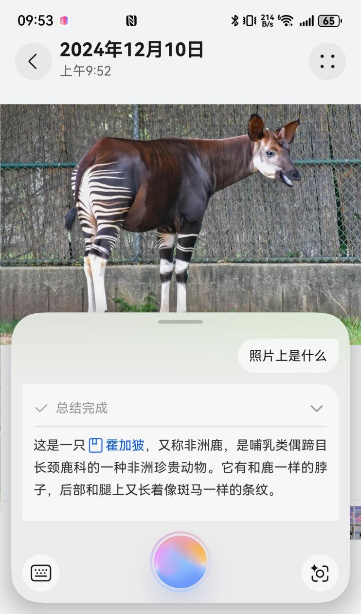 81f5469fd9e1424bbf3c86b42a124c29.png
