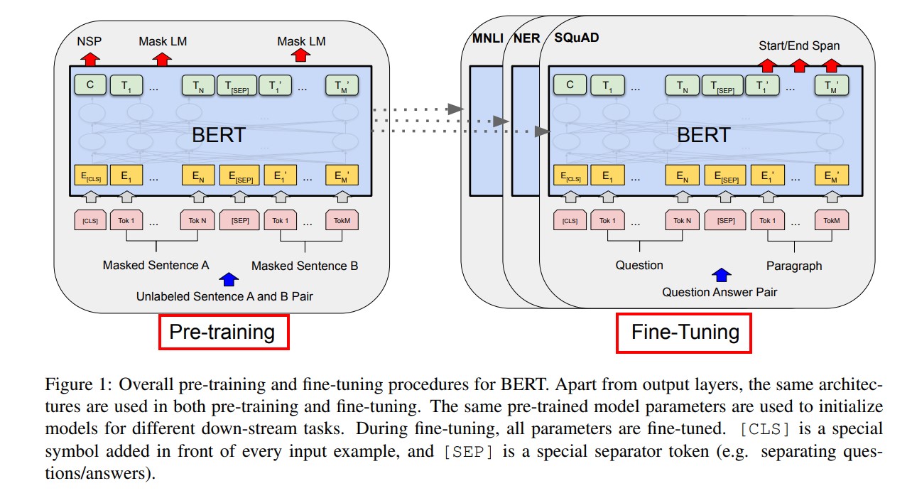 Pytroch实现bert网络文本分类_词向量