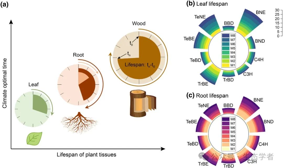 New Phytologist 两篇原文评论 植物性状 环境关系的时间尺度依赖性华东师范大学崔二乾 Csdn博客 