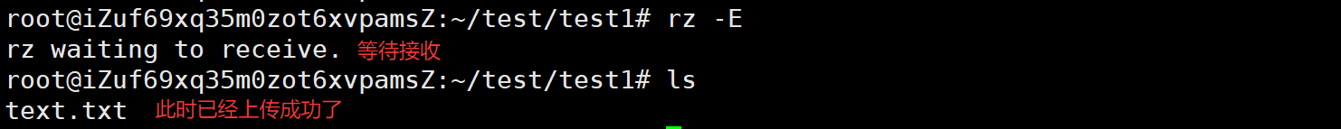 image-20250529121833431