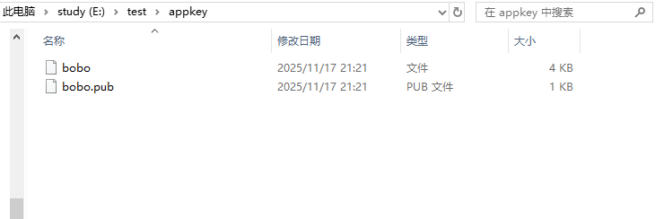 image-20251117212142703