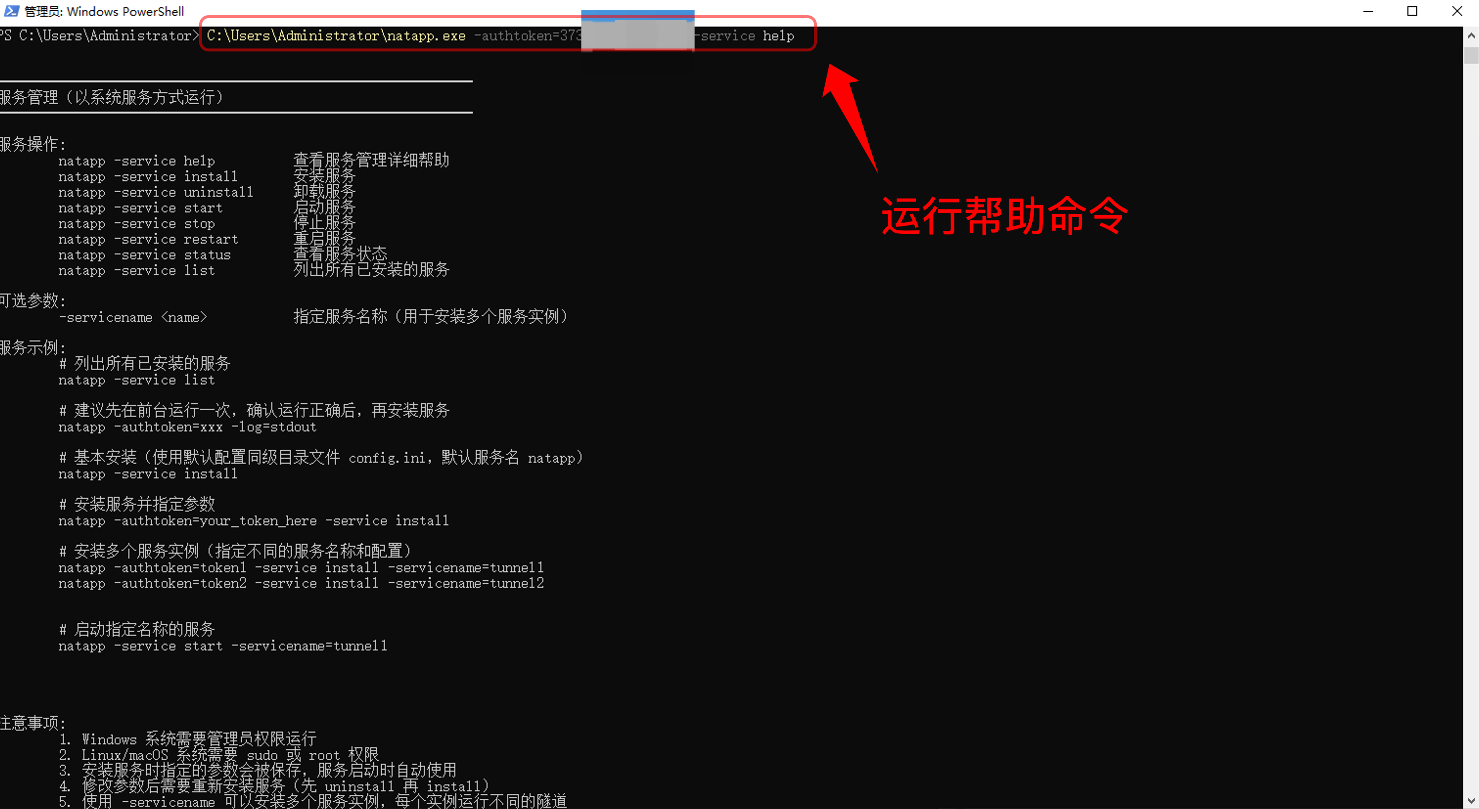 Natapp 客户端服务管理帮助命令