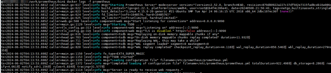 docker logs -f prometheus