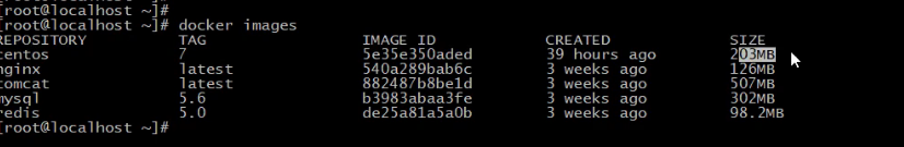 image-20260516160852596