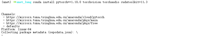 image-20250105004045124