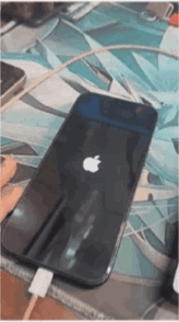 操作失败会导致黑苹果