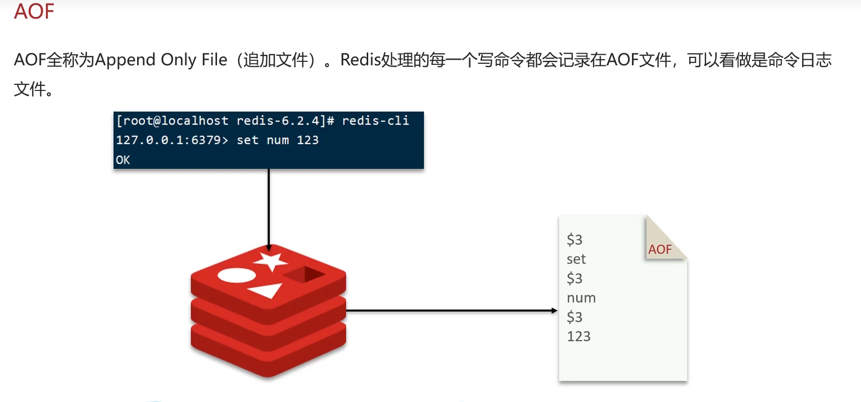 image-20250320221508627