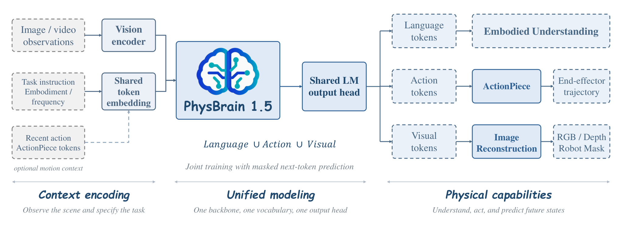 PhysBrain 1.5架构，语言、动作、视觉三种token共用一个主干和输出头
