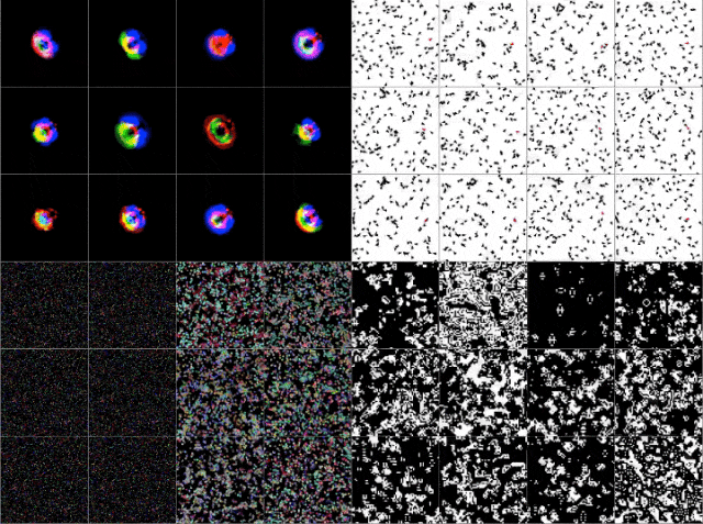 87eafaadddf3a70cc3a251de82605020.gif