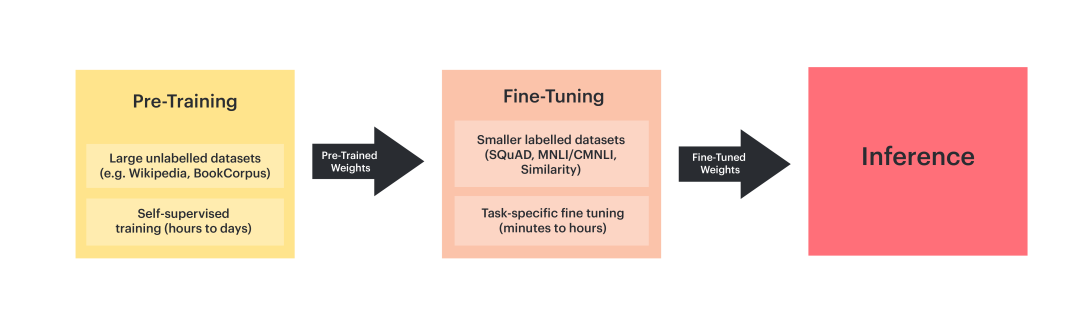 1. Introduction — Pre-Training and Fine-Tuning BERT for the IPU