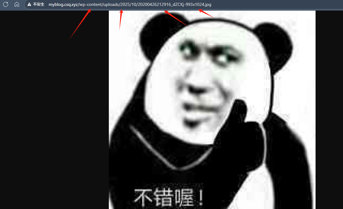 image-20251027161805455