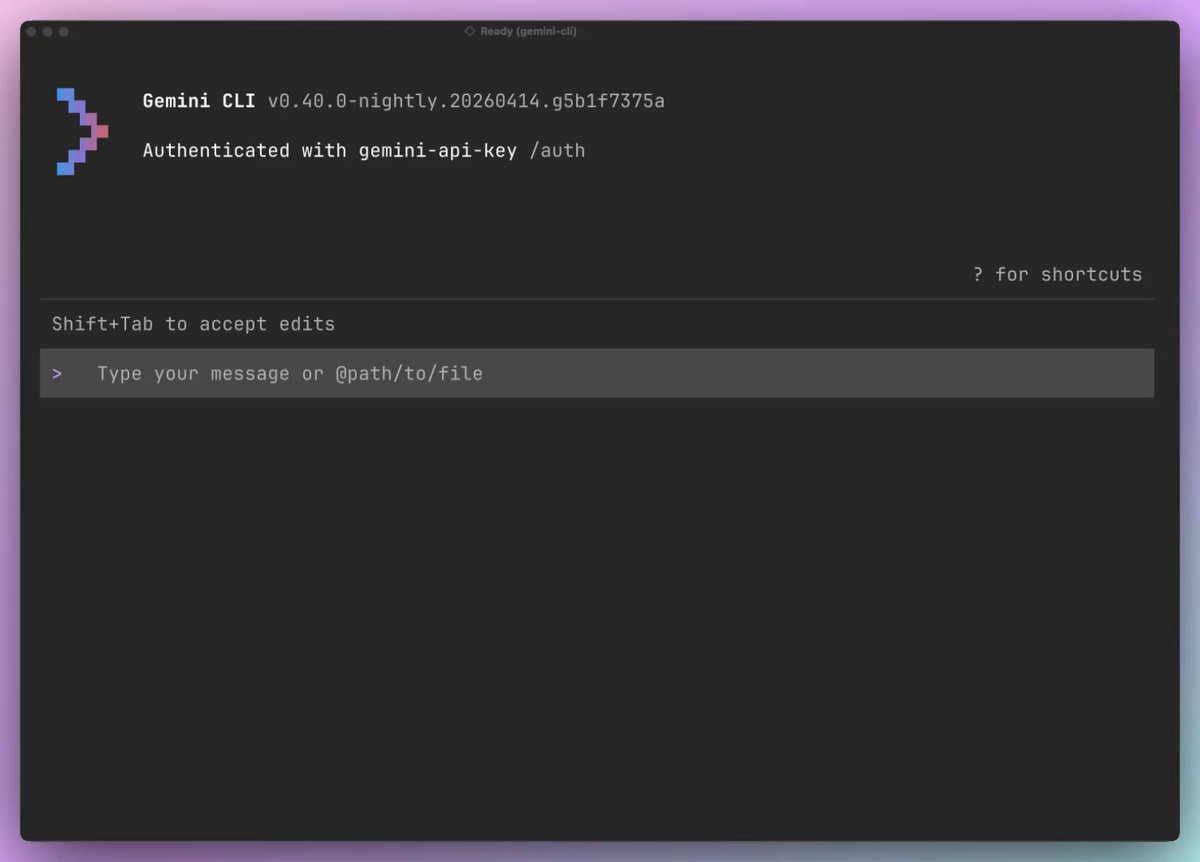 Gemini CLI 参考图