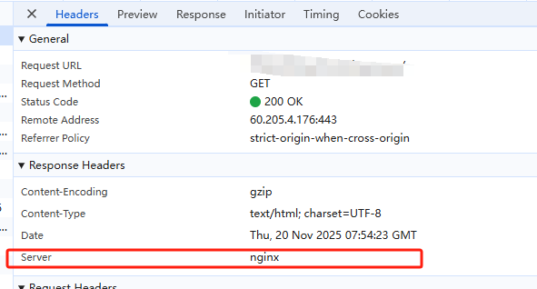 image-20251120155522517