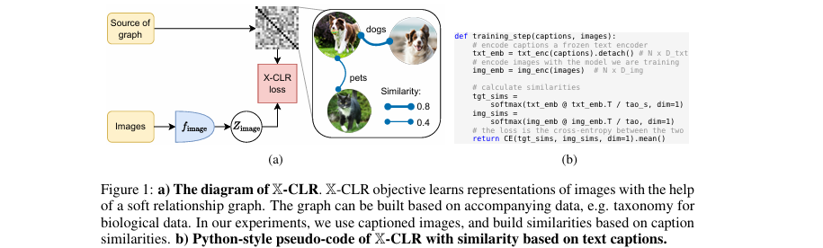 该图直观展示了X-CLR如何利用文本描述构建一个软性的关系图谱来指导图像表示学习,并给出了伪代码