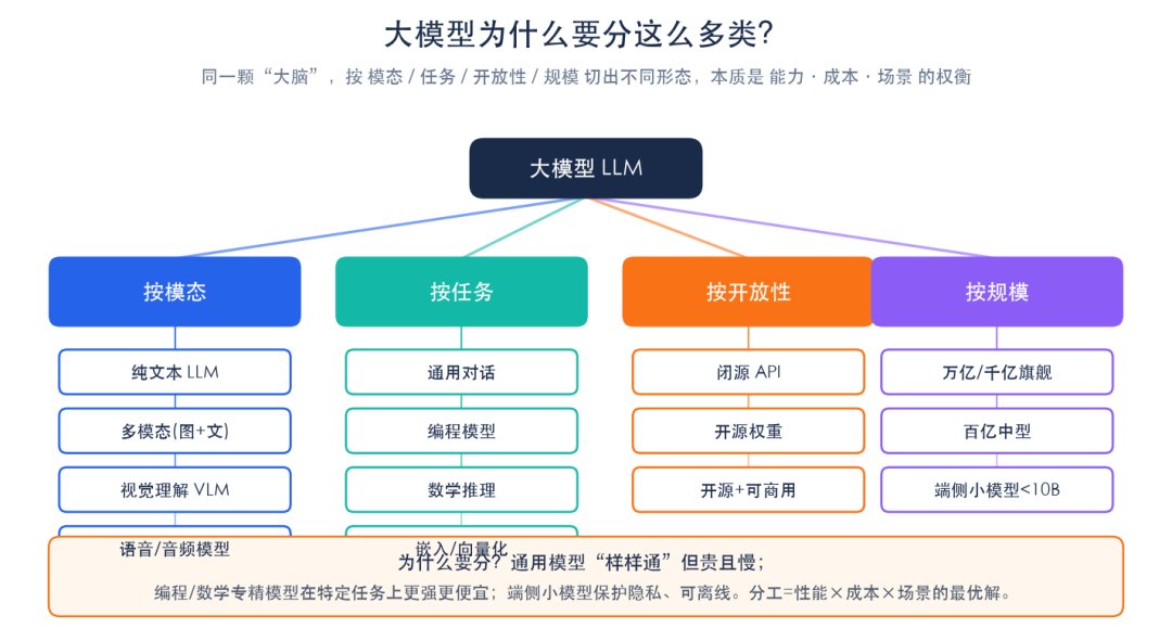 大模型分类树