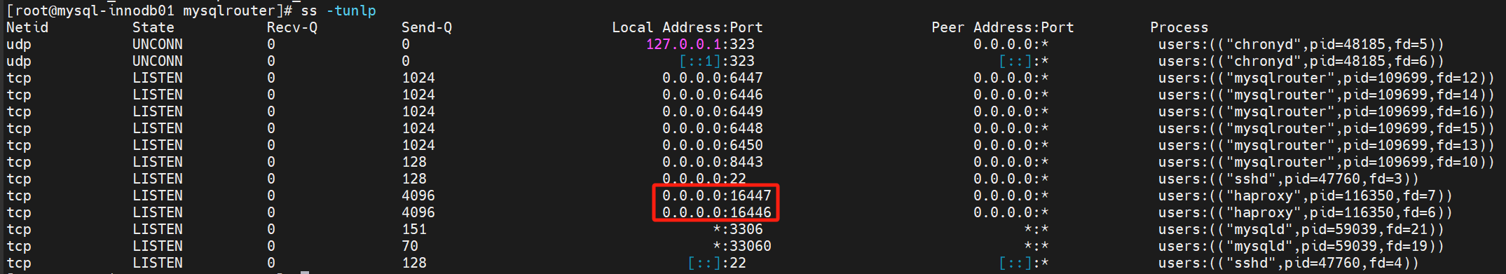 image-20250313180434946