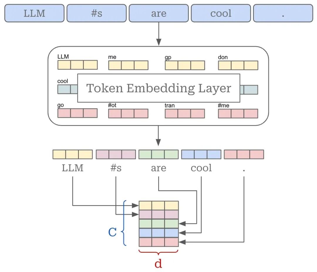 输入矩阵（token 向量）