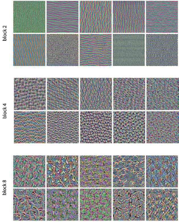 不同层的滤波器模式